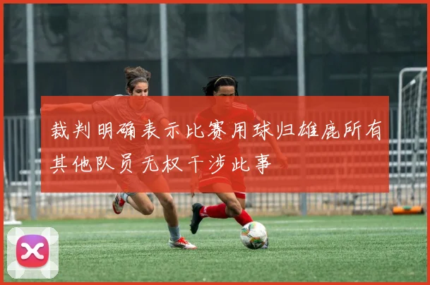 裁判明确表示比赛用球归雄鹿所有其他队员无权干涉此事