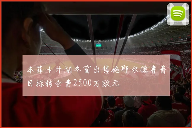 本菲卡计划冬窗出售施耶尔德鲁普目标转会费2500万欧元
