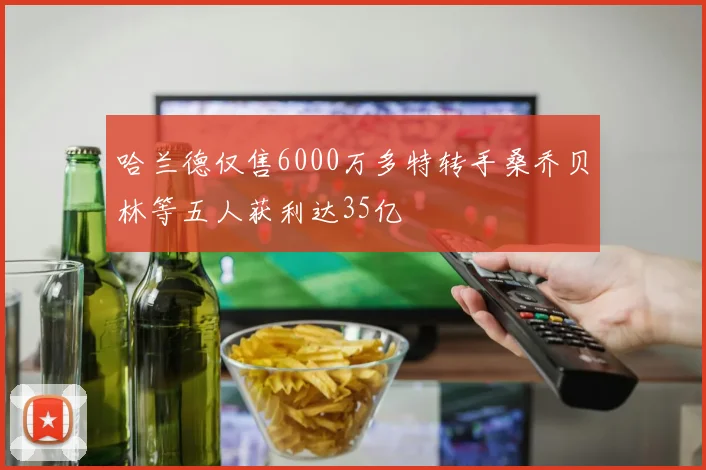 哈兰德仅售6000万多特转手桑乔贝林等五人获利达35亿