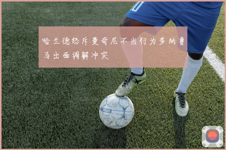 哈兰德怒斥曼奇尼不当行为多纳鲁马出面调解冲突